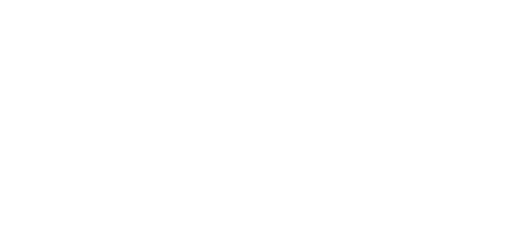 Black Eye IT Solutions & Services